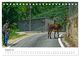 Thumbnail-10