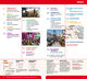 Thumbnail-19