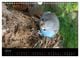 Thumbnail-12