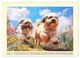 Thumbnail-10