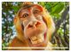 Thumbnail-9