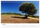 Thumbnail-10