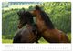 Thumbnail-10