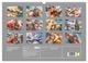 Thumbnail-1
