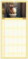 Thumbnail-11