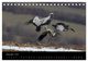 Thumbnail-14