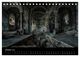 Thumbnail-12