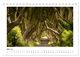 Thumbnail-10