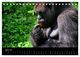 Thumbnail-9