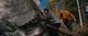 Thumbnail-9