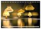 Thumbnail-14