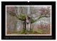 Thumbnail-12