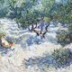 Thumbnail-13