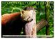 Thumbnail-9
