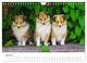 Thumbnail-9