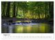Thumbnail-12
