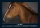 Thumbnail-11