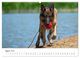 Thumbnail-9