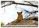 Thumbnail-14