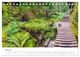 Thumbnail-12