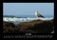 Thumbnail-10