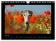 Thumbnail-11