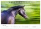 Thumbnail-10