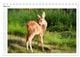 Thumbnail-10