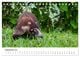 Thumbnail-11
