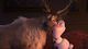 Thumbnail-9