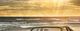 Thumbnail-10