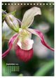 Thumbnail-12