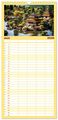 Thumbnail-11