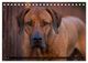 Thumbnail-10
