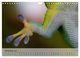 Thumbnail-14