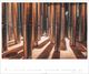 Thumbnail-9