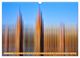 Thumbnail-11