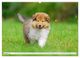 Thumbnail-12