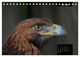 Thumbnail-11
