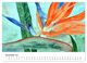 Thumbnail-13