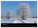 Thumbnail-14