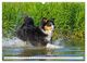 Thumbnail-14