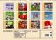 Thumbnail-10