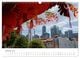 Thumbnail-12