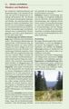 Thumbnail-15