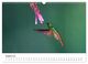 Thumbnail-13