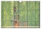 Thumbnail-14
