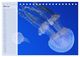 Thumbnail-10
