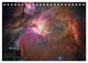 Thumbnail-12