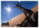 Thumbnail-13